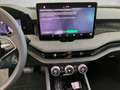 Skoda Superb 4x4 Selection TDI DSG Grau - thumbnail 14