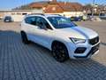 CUPRA Ateca 2.0 TSI DSG 4Drive 190 Weiß - thumbnail 4