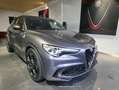 Alfa Romeo Stelvio Quadrifoglio Q4 510PS Gris - thumbnail 2