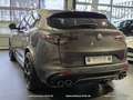 Alfa Romeo Stelvio Quadrifoglio Q4 510PS Gris - thumbnail 4