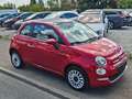Fiat 500 Dolcevita 1.Hand Einparkhilfe Top UConnect 7000KM Rot - thumbnail 4