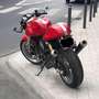 Ducati 1000 Sport Rouge - thumbnail 2