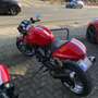 Ducati 1000 Sport Rouge - thumbnail 1