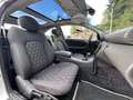 Mercedes-Benz C 230 C230K AMG SPORTCOUPÉ  *PANORAMA*AUTOMATIK* Plateado - thumbnail 5