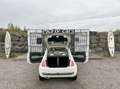Fiat 500 1,2 by Gucci - ZAHNRiEMENSATZ NEU - PiCKERL NEU... Weiß - thumbnail 9