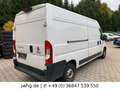 Fiat Ducato Kasten Multijet L4H2 NAVI/KAM/TEMPO/PDC Weiß - thumbnail 5