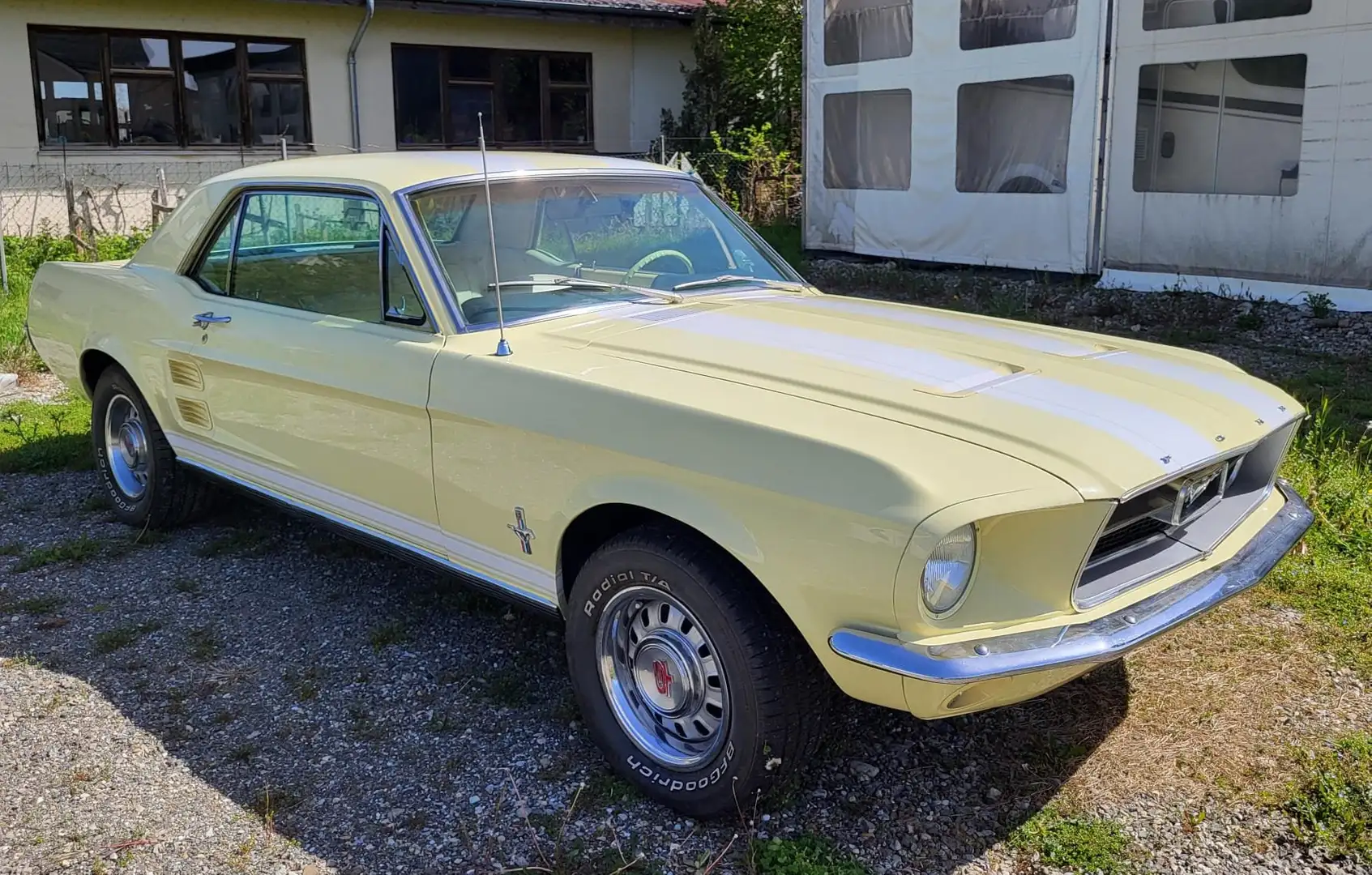 Ford Mustang Mustang GT, V8, original A code, sehr selten Giallo - 2