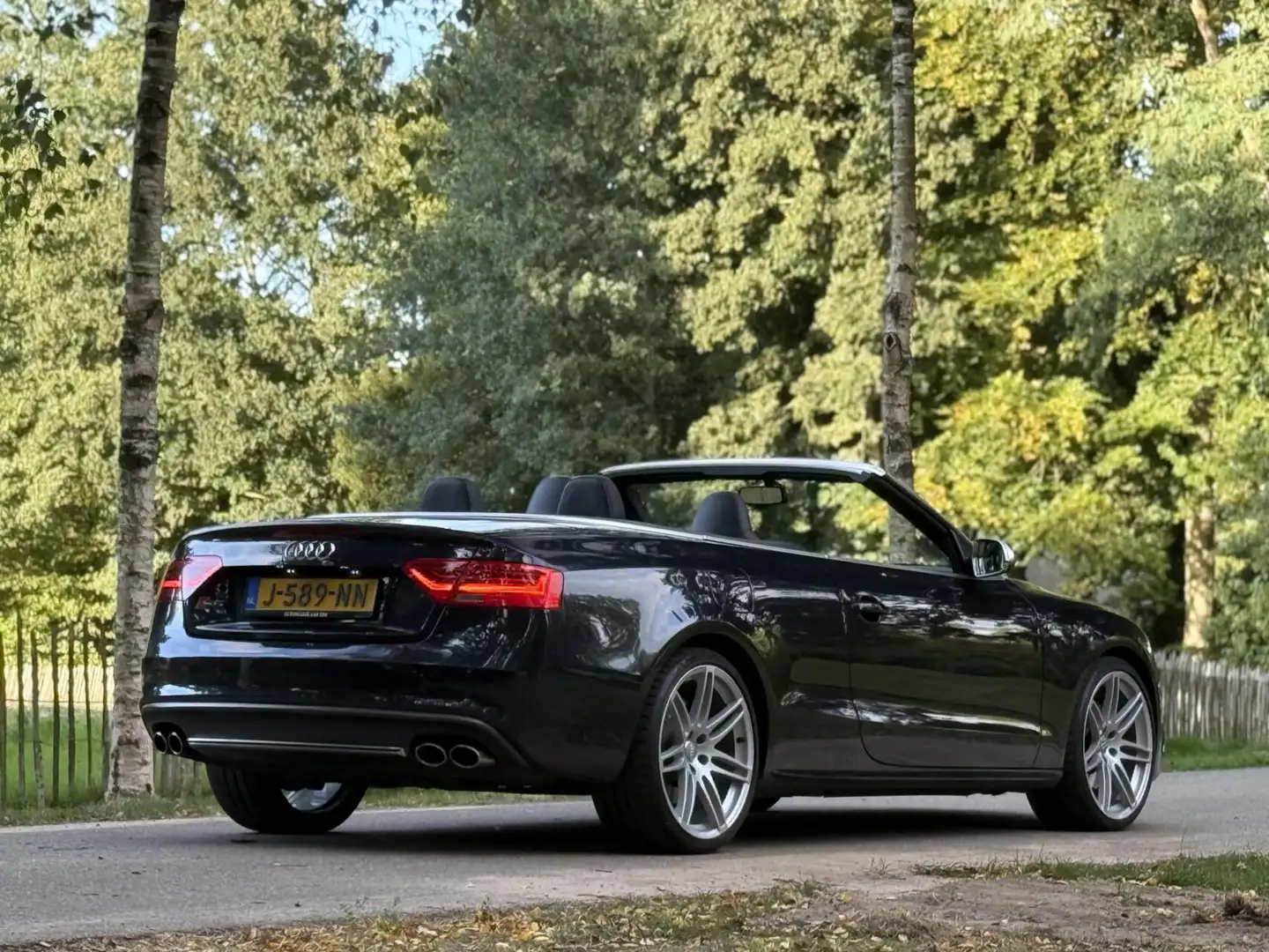 Audi S5 3.0 TFSI S5 quattro Pro Line Blau - 2