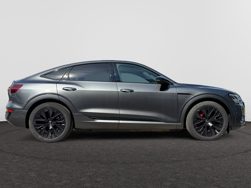Audi Q8 Audi Q8 Sportback e-tron Competition 55 e-tron quattro 300,00 kW — photo 5