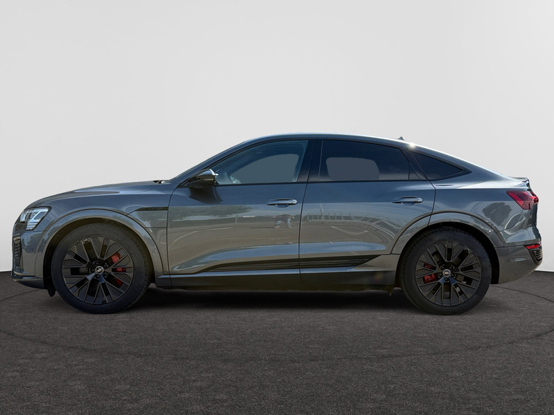 Audi Q8 Audi Q8 Sportback e-tron Competition 55 e-tron quattro 300,00 kW — photo 6