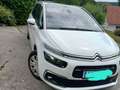 Citroen C4 SpaceTourer C4 Spacetourer BlueHDi 120 S Weiß - thumbnail 12