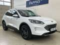 Ford Kuga Titanium 2,0 ECOBLUE Hybrid Aut. AUT Cam Weiß - thumbnail 20