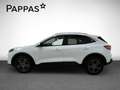 Ford FORD KUGA TITANIUM 2,0 ECOBLUE Hybrid Aut. AUT Blanc - thumbnail 5