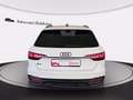 Audi A4 avant 30 2.0 tdi mhev s line edition 136cv s-troni Weiß - thumbnail 5
