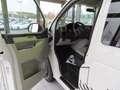 Volkswagen T6 Transporter T6 2.0 TDI Rockton 4Motion  NAVI SPERRE AHK Blanc - thumbnail 13