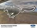 Ford Mustang Mach-E AWD Technologie Paket 2 Grau - thumbnail 17