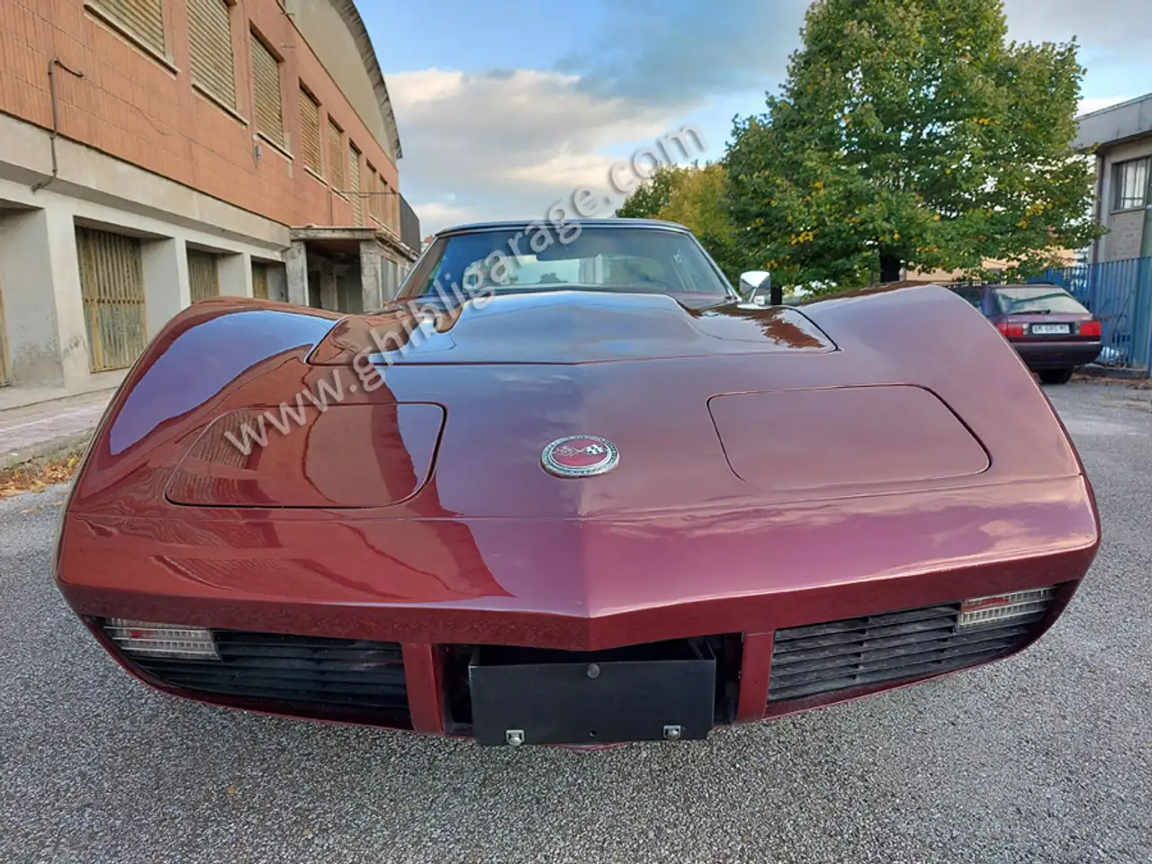 Corvette C3 V8 LS4 454, foto 3