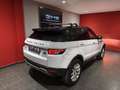 Land Rover Range Rover Evoque 2.2L TD4 Dynamic 4x4 Aut. Blanco - thumbnail 6