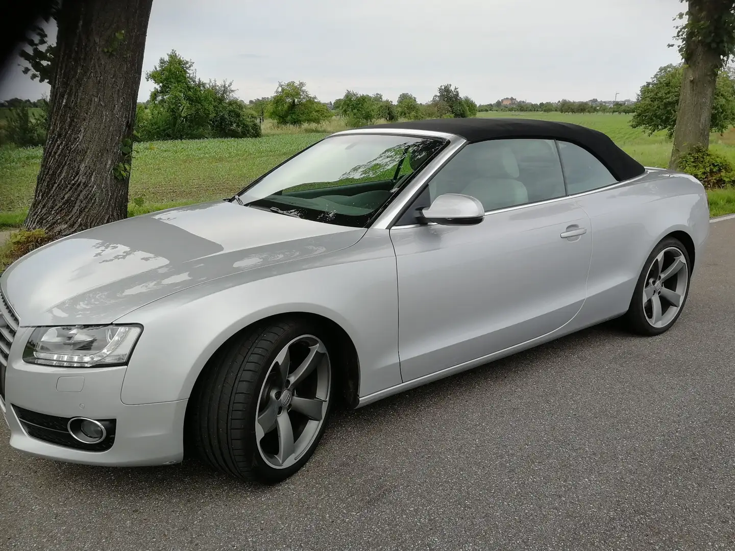Audi A5 2.0 TDI (125kW) Grau - 2