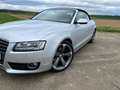 Audi A5 2.0 TDI (125kW) Grau - thumbnail 1
