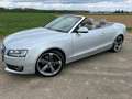 Audi A5 2.0 TDI (125kW) Grau - thumbnail 6
