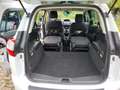Ford Grand C-Max Grand C-Max 1.5 TDCi Start-Stopp-System Trend Weiß - thumbnail 6
