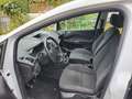 Ford Grand C-Max Grand C-Max 1.5 TDCi Start-Stopp-System Trend Weiß - thumbnail 9