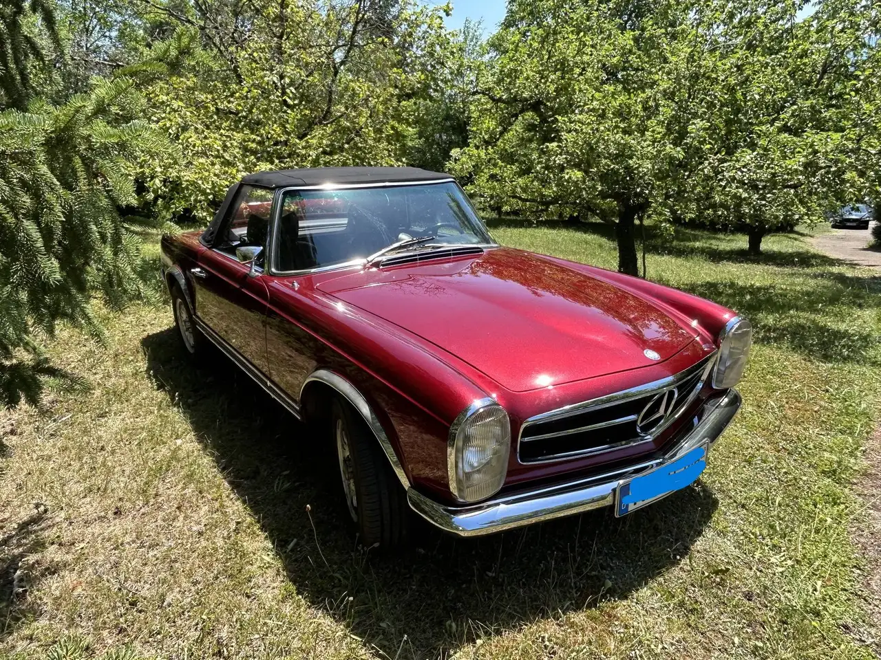 Mercedes-Benz SL 280 Pagode, foto 9