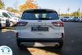 Ford Kuga 2.5 TITANIUM HYBRIDE 190 PK CARPLAY/CAMERA/BLU... Wit - thumbnail 9