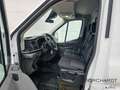 Ford Transit 350 L3 *Trend*Automatik*Laderaumschutz*PDC Blanco - thumbnail 12