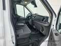 Ford Transit 350 L3 *Trend*Automatik*Laderaumschutz*PDC Blanco - thumbnail 20