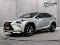 Lexus NX 300h - AWD F Sport Line // DEALERONDERHOUDEN // PANORAM Grau - thumbnail 1