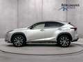 Lexus NX 300h - AWD F Sport Line // DEALERONDERHOUDEN // PANORAM Grau - thumbnail 10