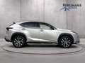 Lexus NX 300h - AWD F Sport Line // DEALERONDERHOUDEN // PANORAM Grau - thumbnail 9