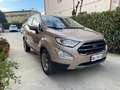 Ford EcoSport EcoSport 2019 1.0 ecoboost Titanium 100cv my19 Bronze - thumbnail 2