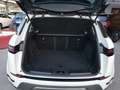 Land Rover Range Rover Evoque 2.0D I4 MHEV S AWD Aut. 163 Blanco - thumbnail 6