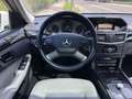 Mercedes-Benz E 300 E-Klasse E300 CDI BlueEffi. Avantgarde/Automatik Weiß - thumbnail 14