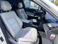 Mercedes-Benz E 300 E-Klasse E300 CDI BlueEffi. Avantgarde/Automatik Blanco - thumbnail 9