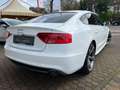 Audi A5 Audi A5  3.0 TDI Quattro* 3 x S-Line*ACC*Kamera* Blanc - thumbnail 6