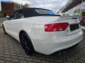 Audi A5 Cabriolet 2.0 TDI S-Line Ex*NAvi*R-Kam*Alcant Weiß - thumbnail 6