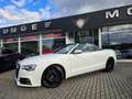 Audi A5 Cabriolet 2.0 TDI S-Line Ex*NAvi*R-Kam*Alcant Weiß - thumbnail 17