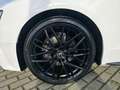 Audi A5 Cabriolet 2.0 TDI S-Line Ex*NAvi*R-Kam*Alcant Weiß - thumbnail 30