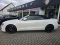 Audi A5 Cabriolet 2.0 TDI S-Line Ex*NAvi*R-Kam*Alcant Weiß - thumbnail 8