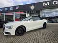 Audi A5 Cabriolet 2.0 TDI S-Line Ex*NAvi*R-Kam*Alcant Weiß - thumbnail 15