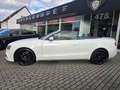 Audi A5 Cabriolet 2.0 TDI S-Line Ex*NAvi*R-Kam*Alcant Weiß - thumbnail 28