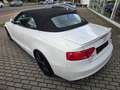 Audi A5 Cabriolet 2.0 TDI S-Line Ex*NAvi*R-Kam*Alcant Weiß - thumbnail 13