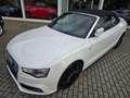 Audi A5 Cabriolet 2.0 TDI S-Line Ex*NAvi*R-Kam*Alcant Weiß - thumbnail 9