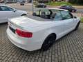Audi A5 Cabriolet 2.0 TDI S-Line Ex*NAvi*R-Kam*Alcant Weiß - thumbnail 25