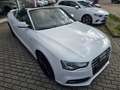 Audi A5 Cabriolet 2.0 TDI S-Line Ex*NAvi*R-Kam*Alcant Weiß - thumbnail 22