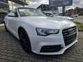 Audi A5 Cabriolet 2.0 TDI S-Line Ex*NAvi*R-Kam*Alcant Weiß - thumbnail 19